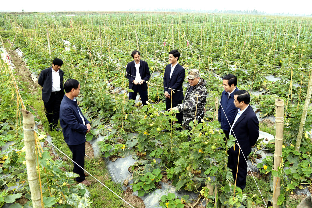 TÁI CƠ CẤU NÔNG NGHIỆP QUẢNG TRỊ - CƠ HỘI VÀ THÁCH THỨC