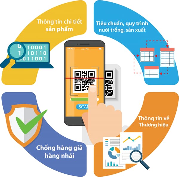 GIÁM SÁT AN TOÀN THỰC PHẨM VÀ TRUY XUẤT NGUỒN GỐC HỒ TIÊU XUẤT KHẨU